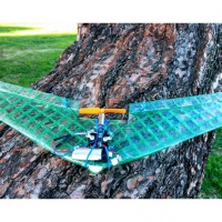 Micro Flying Wing