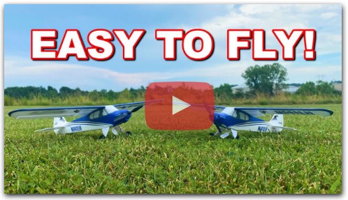 RC Airplane ANYONE CAN FLY!