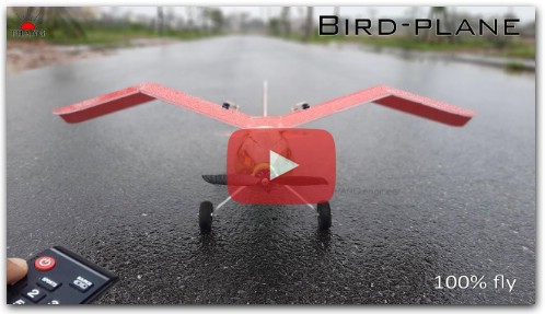 DIY RC Aeroplane at home  Make Bird Airplane that 100% fly