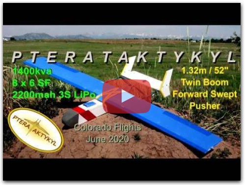 Twin Boom Specter style HomeMade Pusher R/C plane