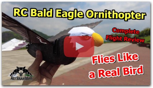 GoGo Bird RC Bald Eagle Flapping wing Ornithopter Flight Review