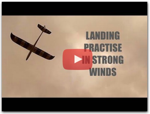 Strong Wind Slope Soaring Landing Practise - Volantex Phoenix 1600