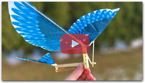 How to Make a Flying Bird (Ornithopter)