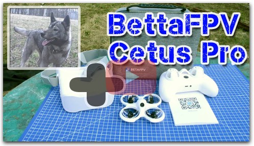 BettaFPV Cetus Pro & Ganza