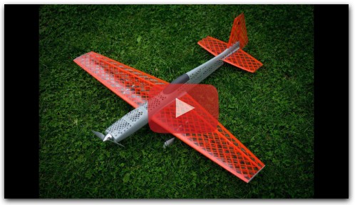 KRAGA Maripi - 3D printed RC acrobat plane
