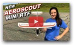 UNDER $100 RTF RC Airplane - Mini AEROSCOUT RTF RC Plane