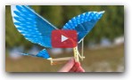 How to Make a Flying Bird (Ornithopter)