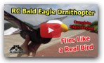 GoGo Bird RC Bald Eagle Flapping wing Ornithopter Flight Review