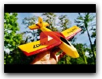 *August Giveaway* Flybear FX807 2 Channel RC Airplane