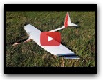 Launch Model`s Flying Fish slope soaring at Maes Knoll