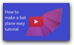 How to make a bat plane