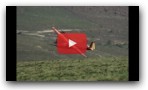 Ka8b 5 met 1/3 scale slope soaring glider